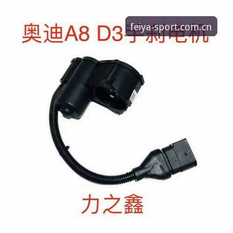 揭秘飞亚体育评价iOS版：A8D3下载、安全充值与官网注册的真实体验