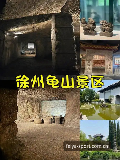 飞亚体育A8D3版 飞亚体育A8D3版详解:下载安装到安全充值的全链路解析