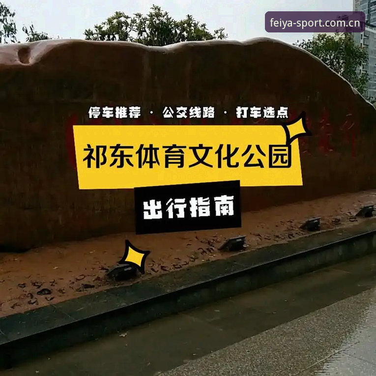 飞亚体育官网服务体验完整指南：从安全充值到A8D3下载的深度解析